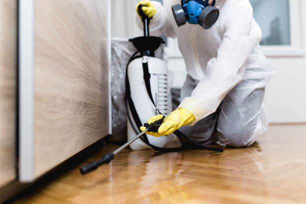 Best Wasp Removal Services  in Summit, NJ