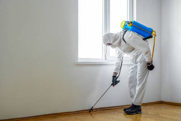 Best Flea Control Services  in Summit, NJ
