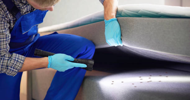 Best Commercial Pest Control Services  in Summit, NJ