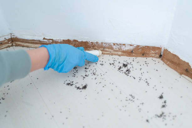 Best Residential Pest Control  in Summit, NJ
